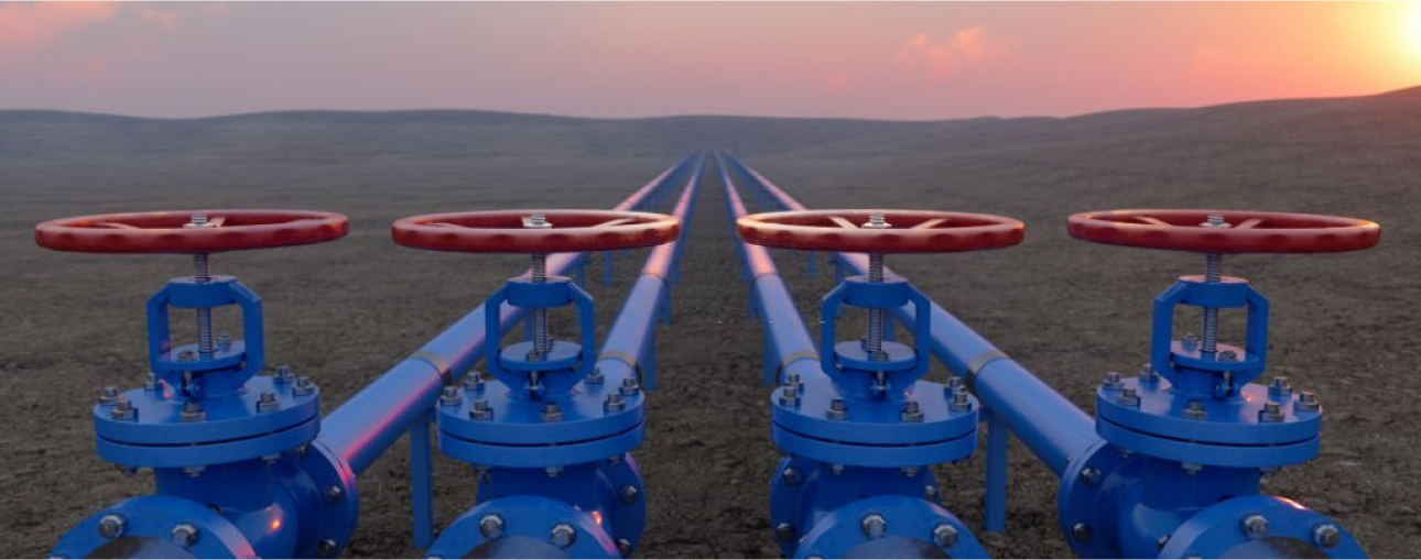 Valve & Pumps Industries